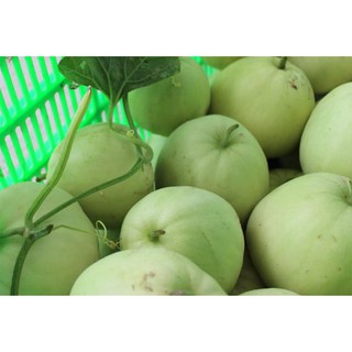 Hạt giống dưa lê Lam ngọc siêu ngọt