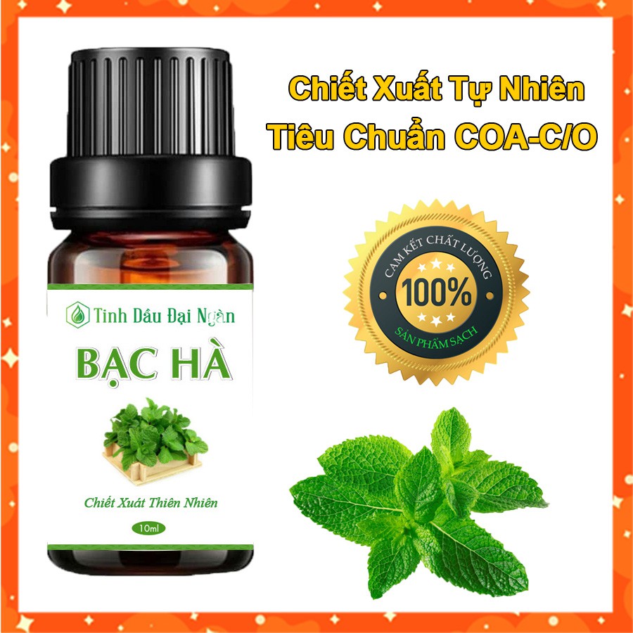 Tinh Dầu Bạc Hà Thơm Thiên Nhiên 10ml