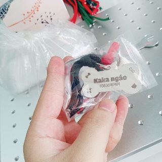 Pet's name bảng tên thú cưng