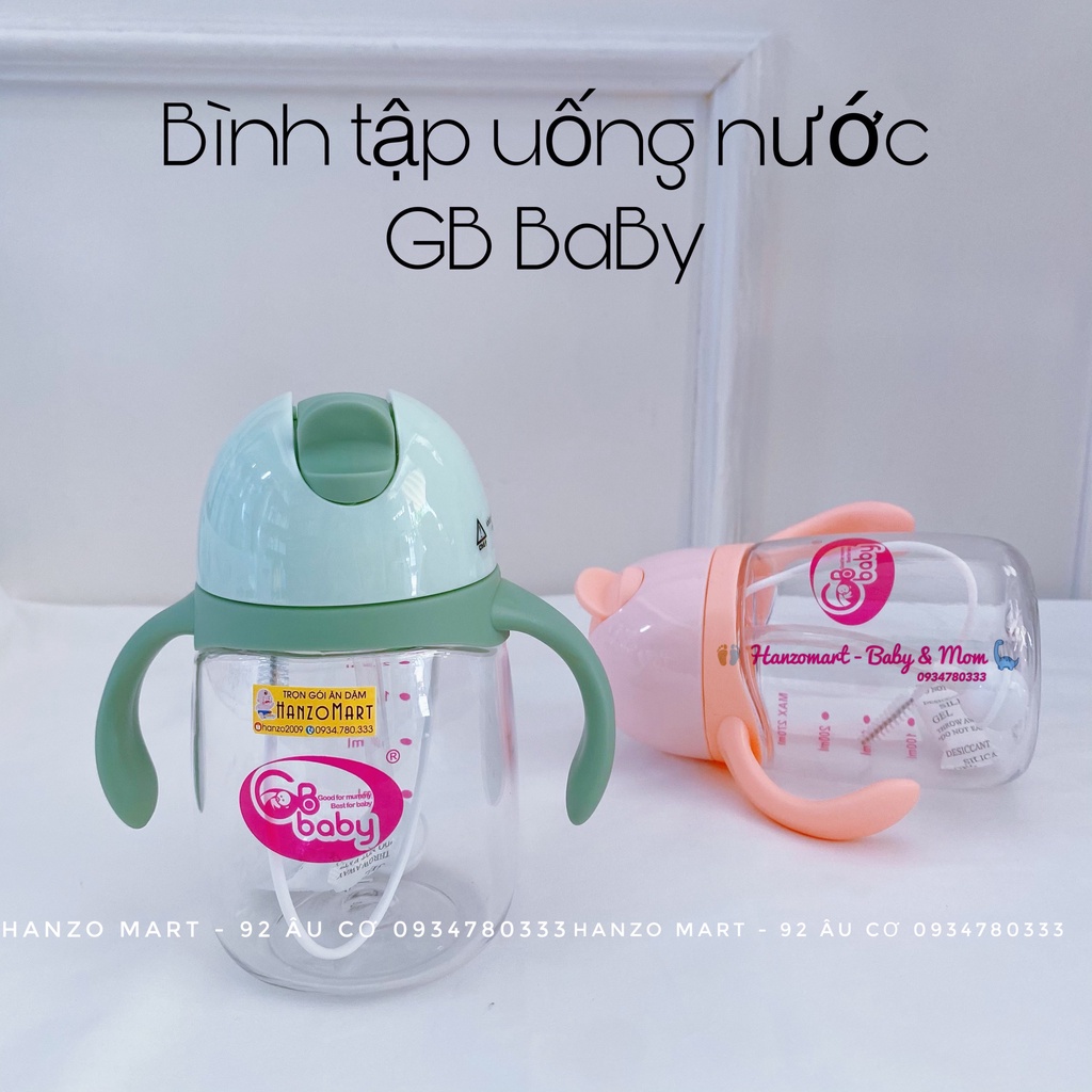 Bình uống nước cho bé GB Baby 270ml