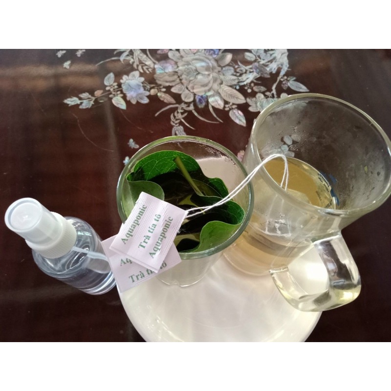 TRÀ TÚI LỌC TÍA TÔ NHÀ LÀM 100% | BigBuy360 - bigbuy360.vn