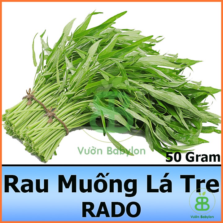 Hạt Giống Rau Muống Lá Tre 50Gr Dễ Trồng, Năng Suất Cao