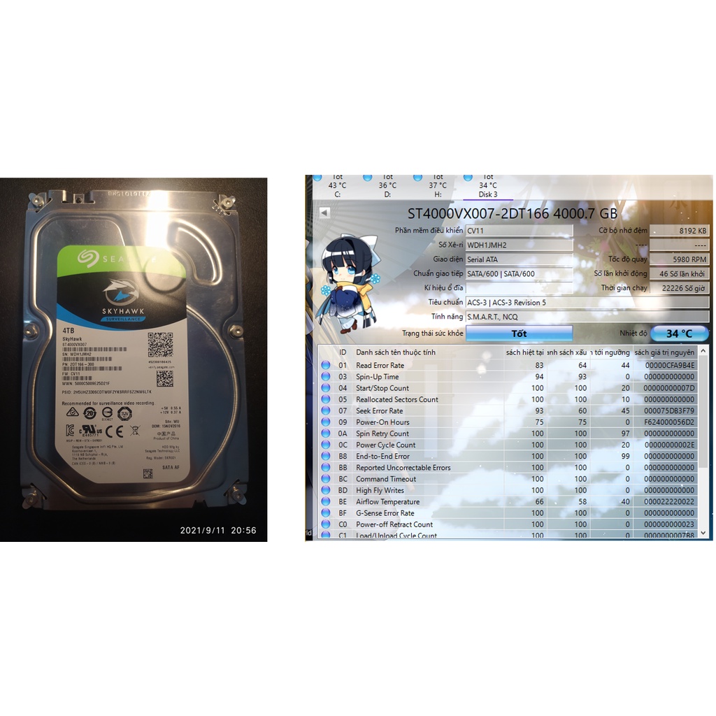 Ổ cứng WD Blue 1TB - 3TB 3.5 inch SATA III 64MB Cache 7200RPM WD10EZEX -2ND