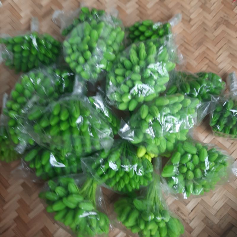 Nụ Hoa Mai/ Đào Đất Sét