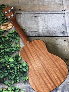 Đàn Ukulele Concert Gỗ Thông EQ-CB25