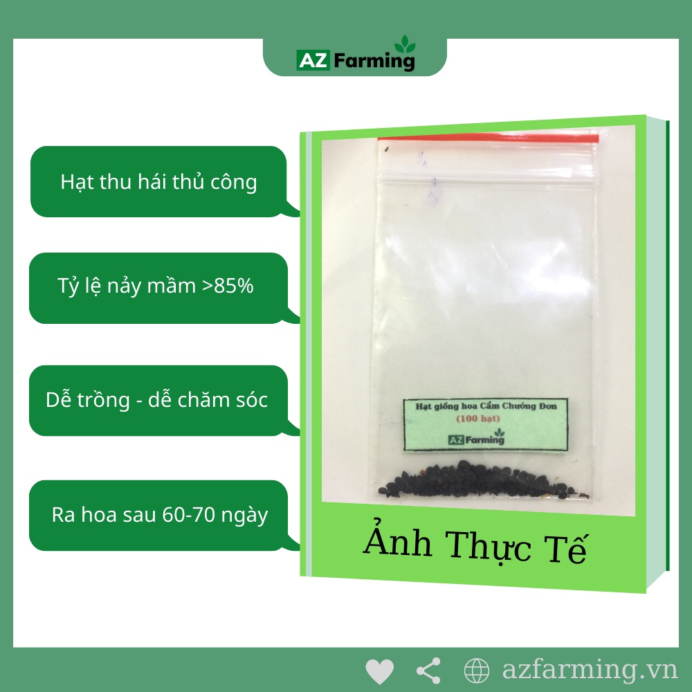 Hạt Giống Hoa Cẩm Chướng Đơn Mix Nhiều Màu - 100 Hạt - AZ Farming