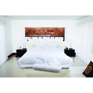 Ruột gối tựa Sông Hồng hút chân không
