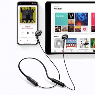 Tai nghe Bluetooth TOTU EAUB-021