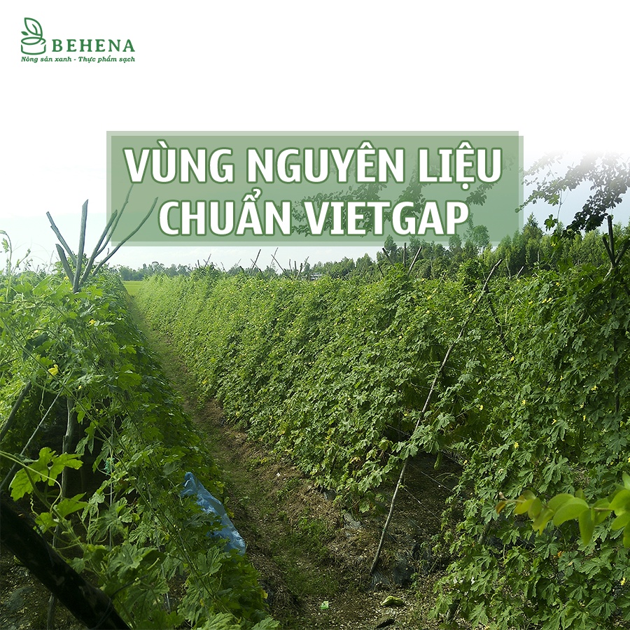 Trà Khổ Qua Sấy Khô Behena - Túi 150g - Giảm Cân Đẹp Da, Hỗ Trợ Các Bệnh Về Tiểu Đường, Cao Huyết Áp, CRICKET