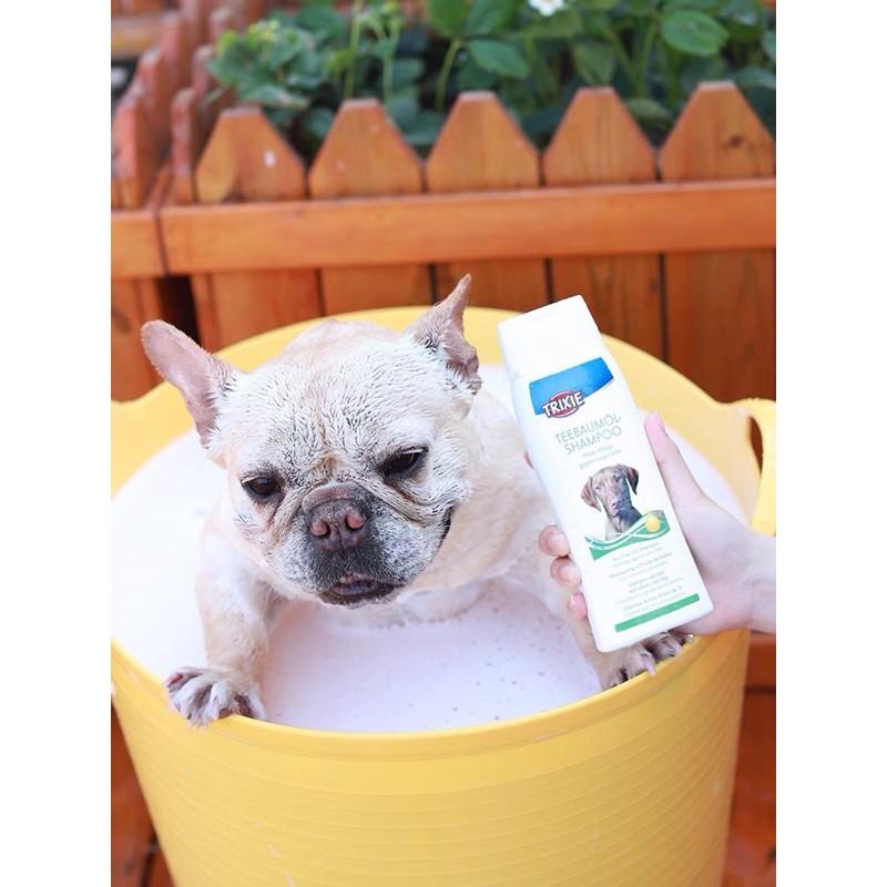 Sữa Tắm Tinh Dầu Chè Xanh Bóng Mượt Lông Cho Chó Trixie Tea Tree Oil Shampoo 250ml