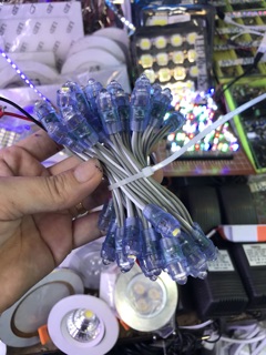 Led đúc F5 điện 12v
