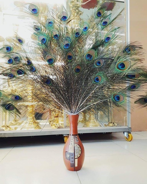 Lông công tự nhiên- 80-90cm, mắt đẹp loại vừa | BigBuy360 - bigbuy360.vn