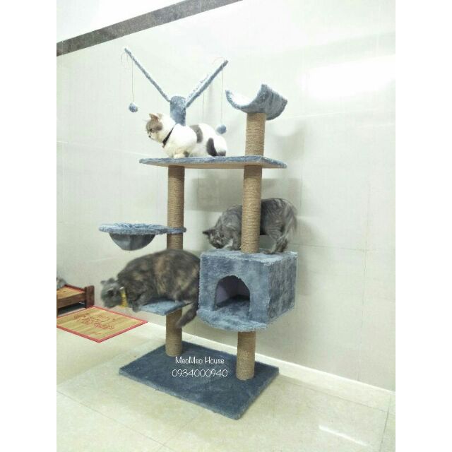 [HÌNH THẬT] NHÀ CÂY MÈO CÀO MÓNG CATTREE MS1650K