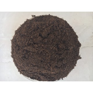 Đất Peatmoss 1.2l