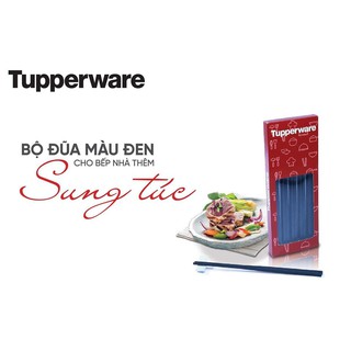 Bộ đũa Chopstick (10 đôi)