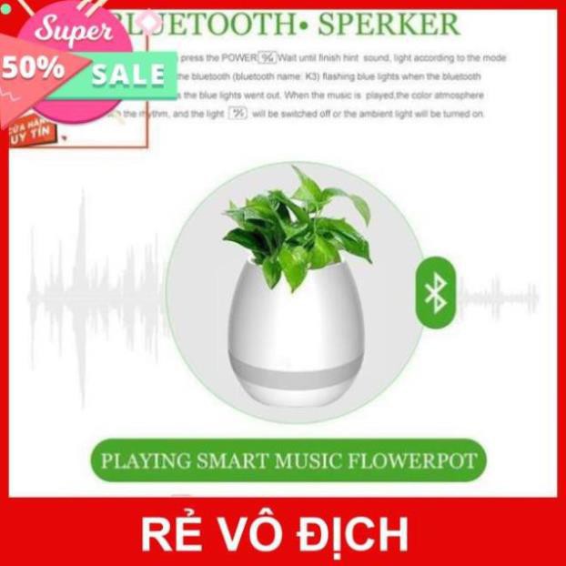 LOA BLUETOOTH KIÊM CHẬU TRỒNG CÂY K3