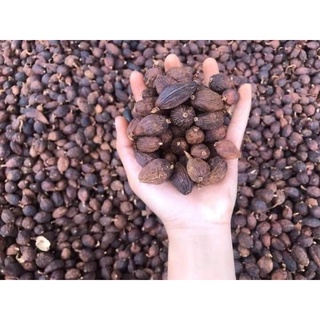 Thảo quả khô hoàng su phì - hà giang 100g