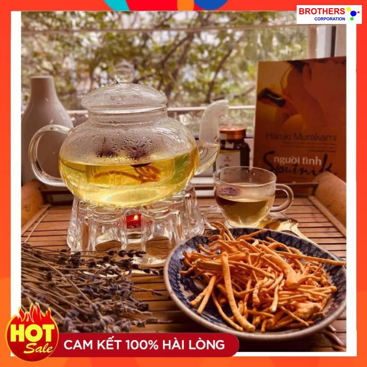 [Chính hãng] Đông trùng hạ thảo Hector sấy thăng hoa (Lọ 5 gram) | BigBuy360 - bigbuy360.vn