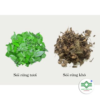 Cây sói rừng 1kg TM61
