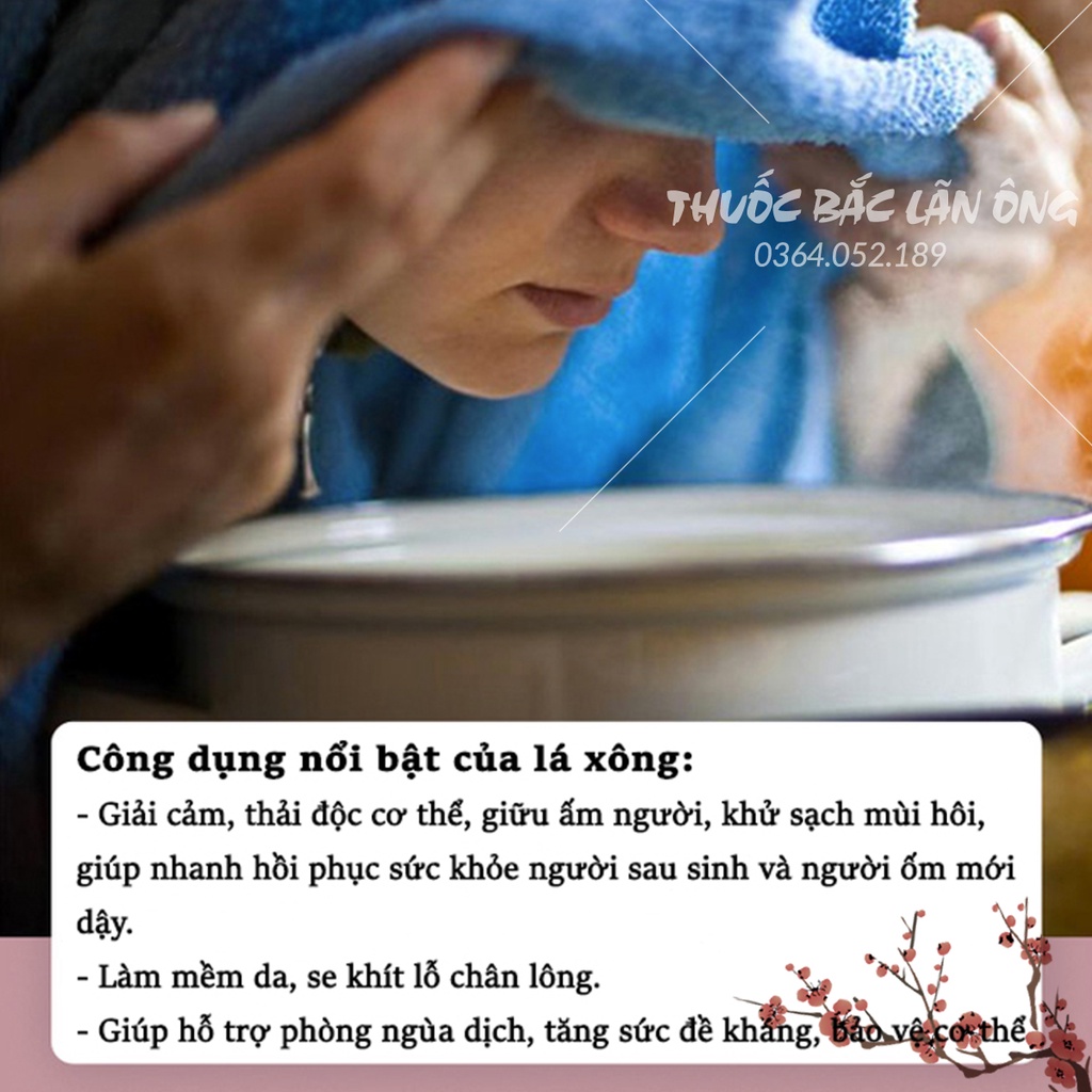 Lá thảo dược xông hơi toàn thân 1 set ( Lá xông thảo mộc tăng sức đề kháng, phục hồi sức khỏe)