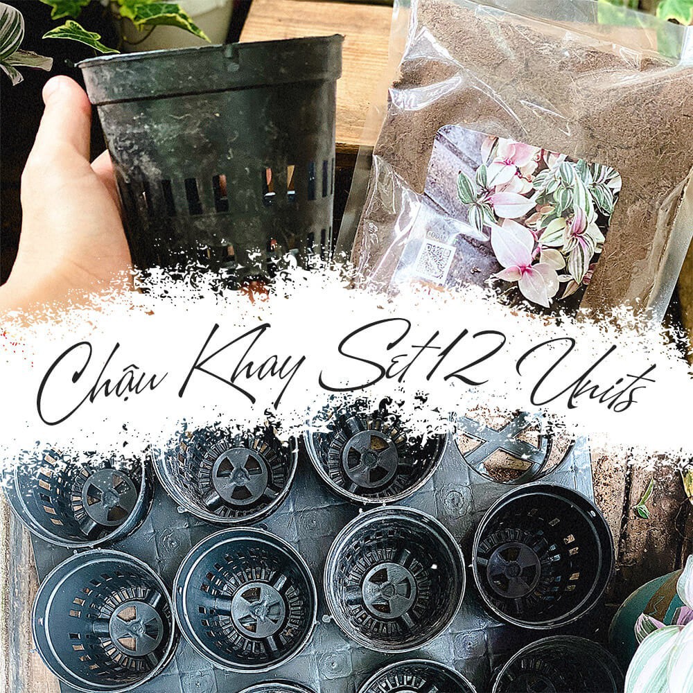 Bộ Khay + Chậu nhựa Set 12 Units chuyên dùng để ươm cây giống, nhân giống cây cảnh