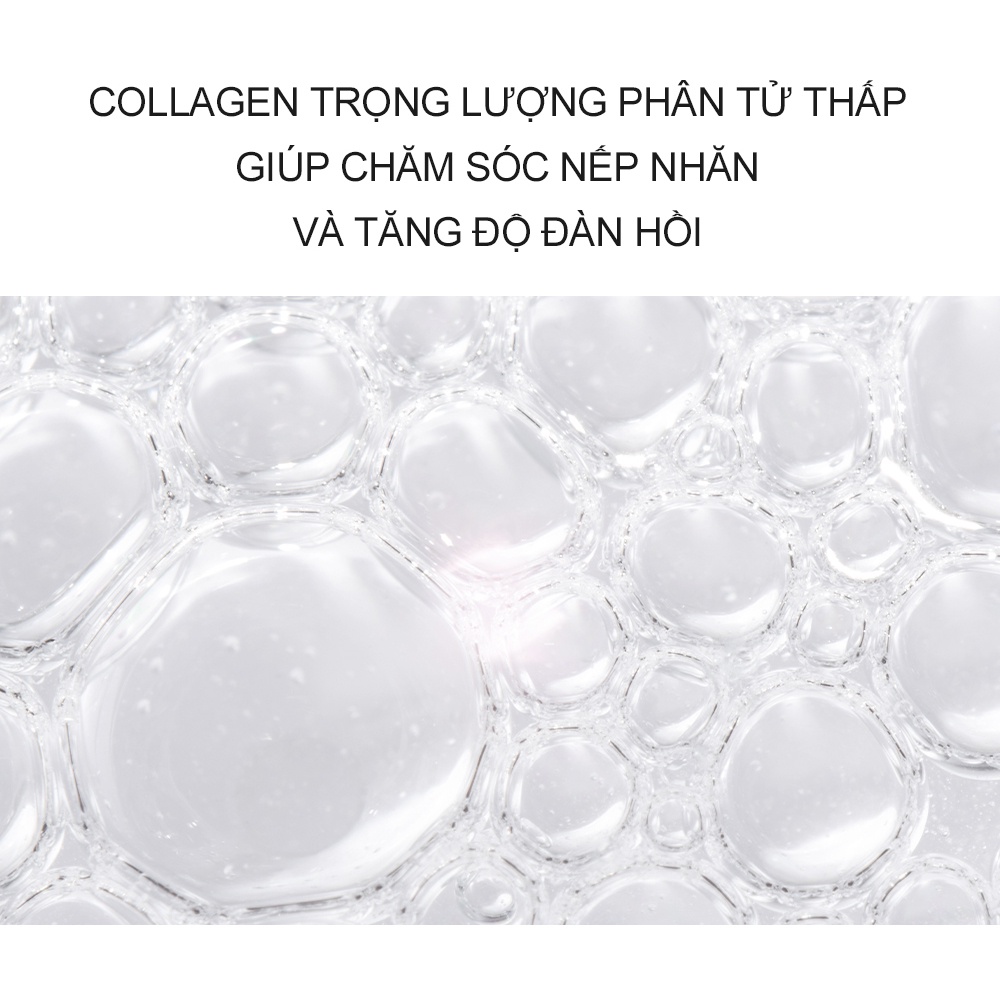 Bột dưỡng da cải thiện đàn hồi Derma Factory Collagen 100 Powder 5g