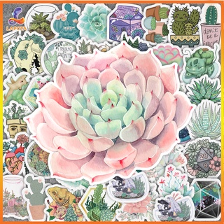 Set 50 cái Sticker Xương Rồng, Sticker Sen Đá, Decal Xương Rồng Chống Nước, Hình Dán Sen Đá dán laptop, vali