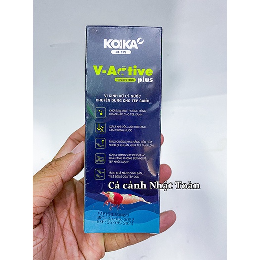 VI SINH TÉP TÔM CẢNH V ACTIVE KOIKA CHO BỂ CÁ