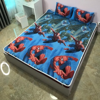 Chiếu điều hòa cotton đũi cao cấp