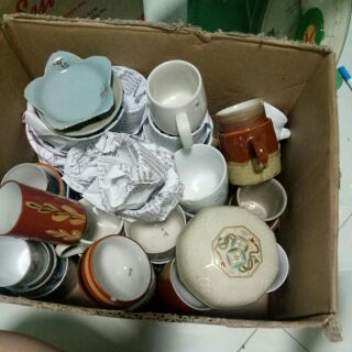 chậu trồng sen đá Nau