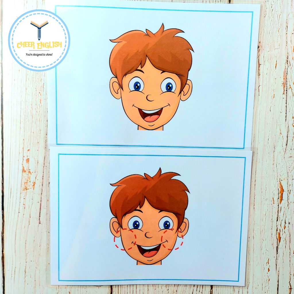 Flashcard chủ đề bộ phận cơ thể thẻ học Tiếng Anh ép plastic