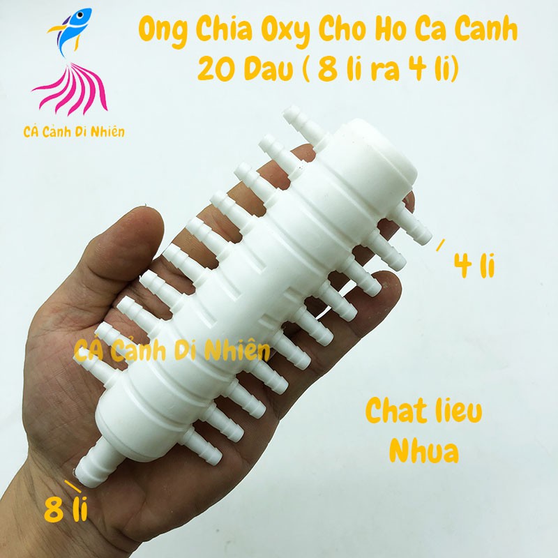 Ống chia dây sủi khí Oxy 20 đầu cho hồ cá cảnh (8 li ra 4 li)