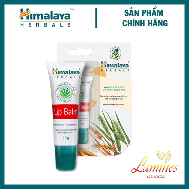 Son Dưỡng Môi Himalaya Lip Balm 10g - Bản Nội Địa