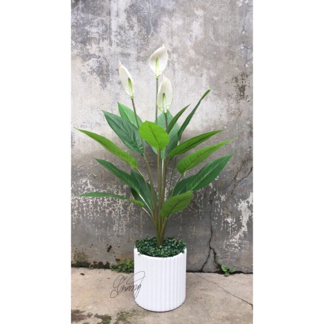 Cây Lan Ý giả 95cm trang trí(nhiều màu)