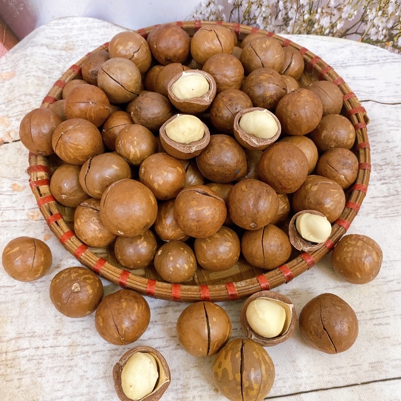 500G MACCA DAKLAK LOẠI 1