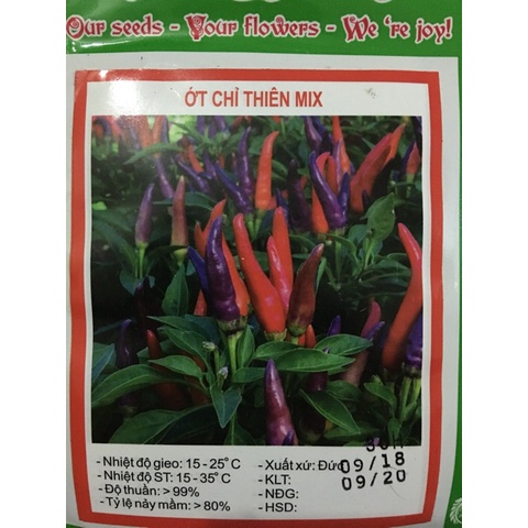 ( SIÊU RẺ ) Hạt Giống Ớt Chỉ Thiên F1 30H