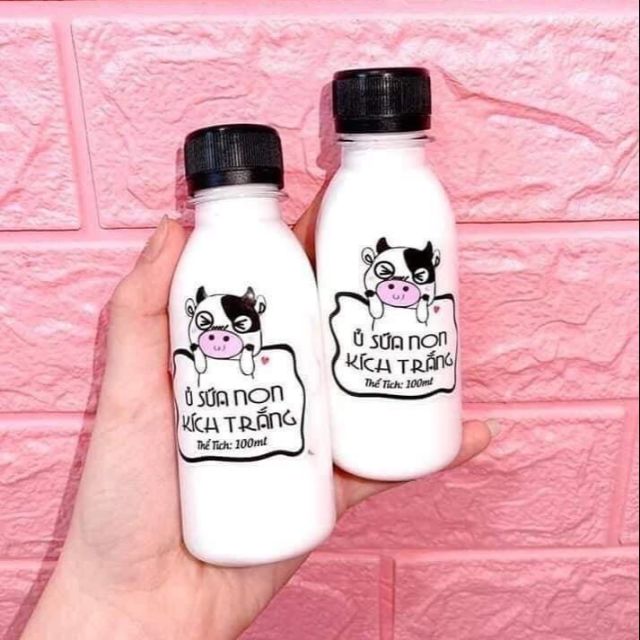 Ủ sữa non kích trắng con bò | BigBuy360 - bigbuy360.vn