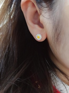 Bông tai cúc hoạ mi bạc ta