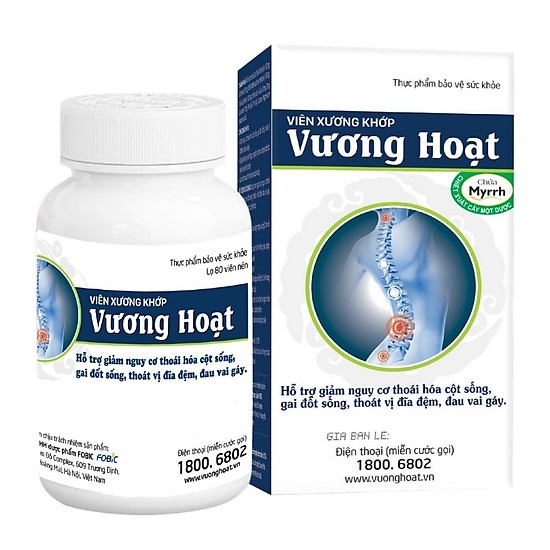 VƯƠNG HOẠT - HỖ TRỢ NGĂN NGỪA THOÁI HÓA CỘT SỐNG, THOÁT VỊ ĐĨA ĐỆM, ĐAU NHỨC XƯƠNG KHỚP