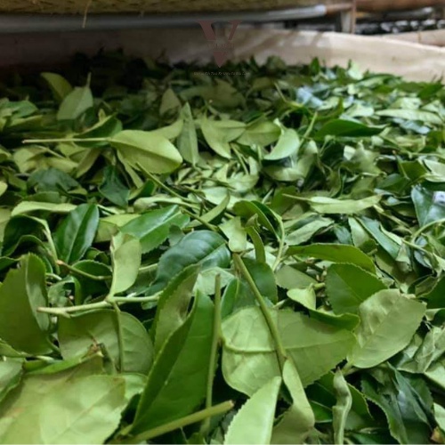 Trà Olong Cám Cầu Đất gói 250g | BigBuy360 - bigbuy360.vn