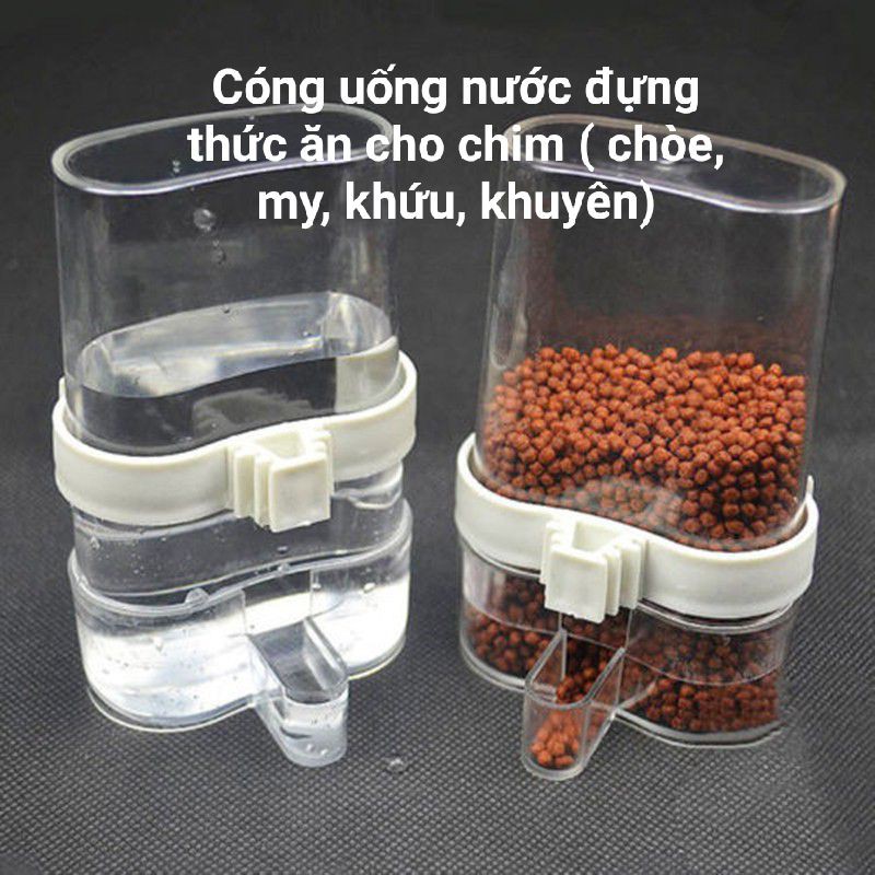 Cóng uống nước đựng thức ăn cho chim ( chòe, khuyên,mỹ, khứu,cứ)