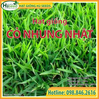 Hạt giống cỏ nhung nhật - gói 500g - hạt cỏ sân vườn - cỏ công trình - cỏ thảm
