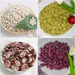 Thực Phẩm SkyBita