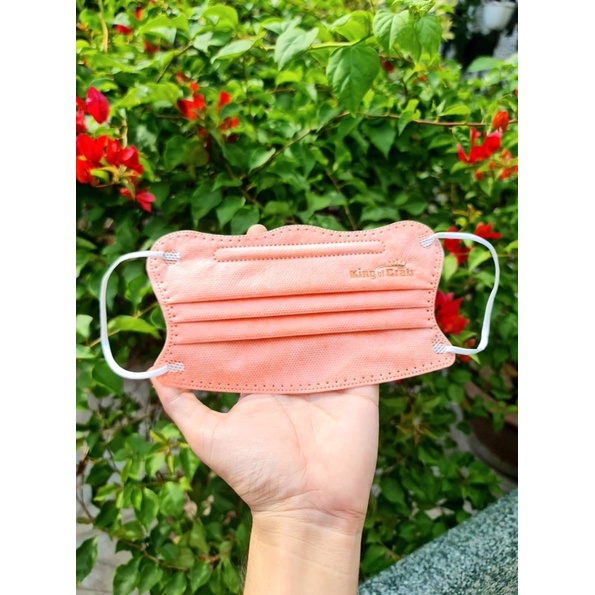 Khẩu trang con cua