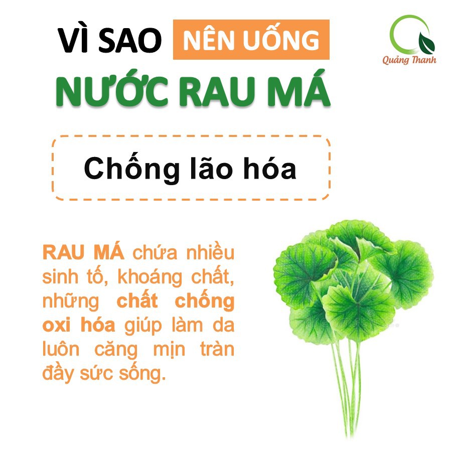 [100% NGUYÊN CHẤT] Rau Má Đường Phèn ORAMA Uống Liền - 1 gói x 15g