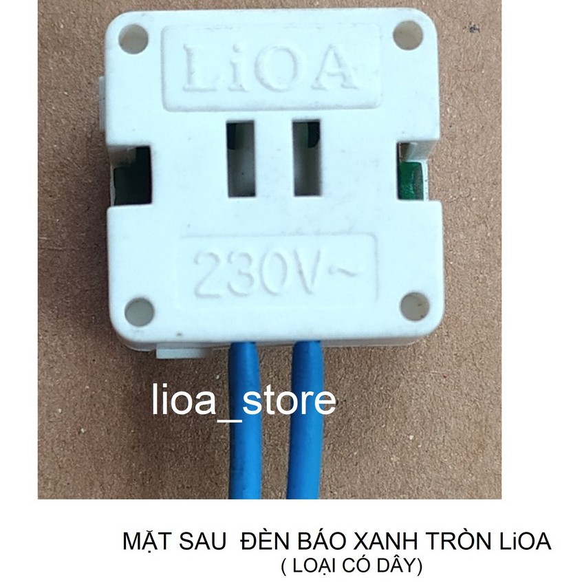 HẠT ĐÈN BÁO TRÒN - XANH ĐỎ LIOA.