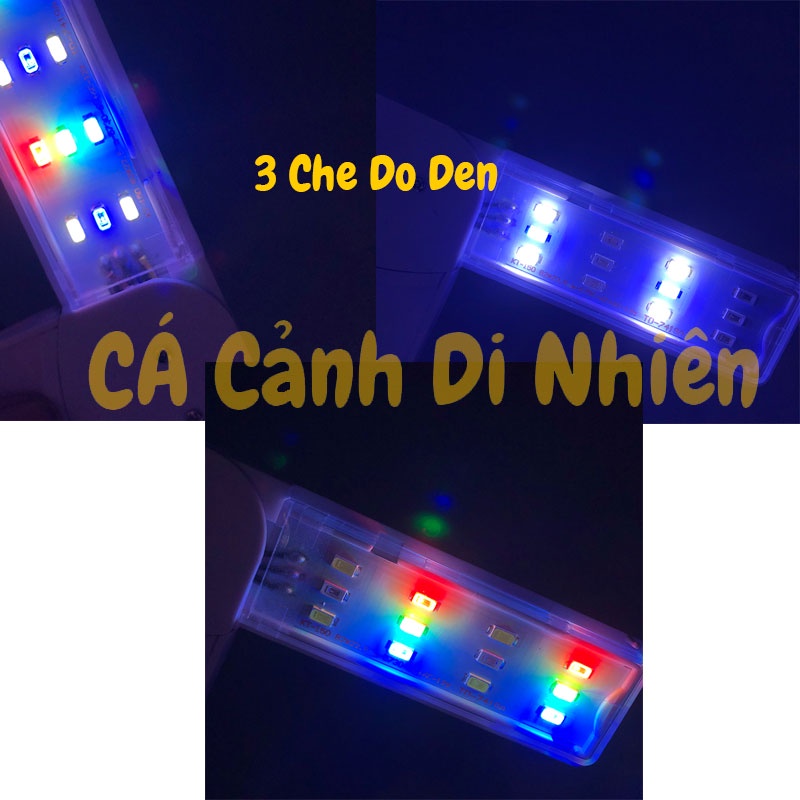 Đèn LED chữ Y màu trắng ĐỔI MÀU kẹp thành hồ cá thủy sinh cho bể 40-50 cm Y250