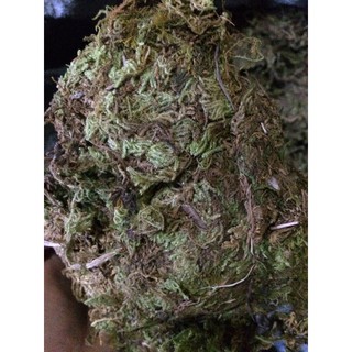Bán Rêu rừng khô (2kg) hàng nhập, phân phối trong nước bởi thietbinhavuon.