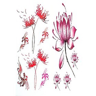 Combo 5 hình xăm dán Hoa Bỉ Ngạn Hoa Sen