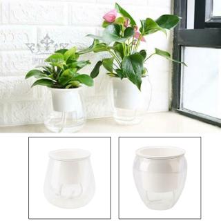 Chậu hoa tự hút nước bằng nhựa trong suốt